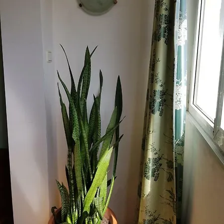 Διαμέρισμα Apartament Elena