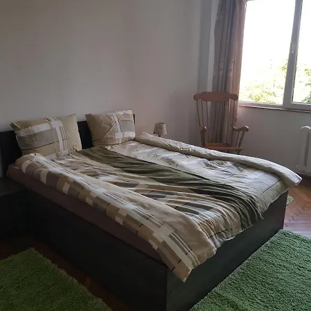 Apartament Elena * Τιμισοάρα